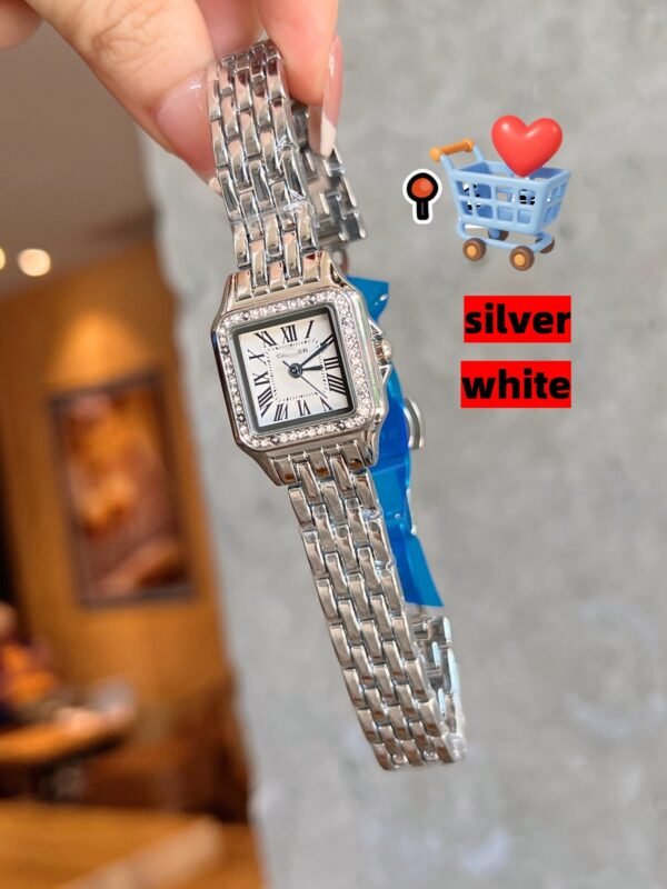 SANTOS DE WSSA0039959696 V6 FACTORY CARBON Silver by S-Watch 22MM - 图片 4