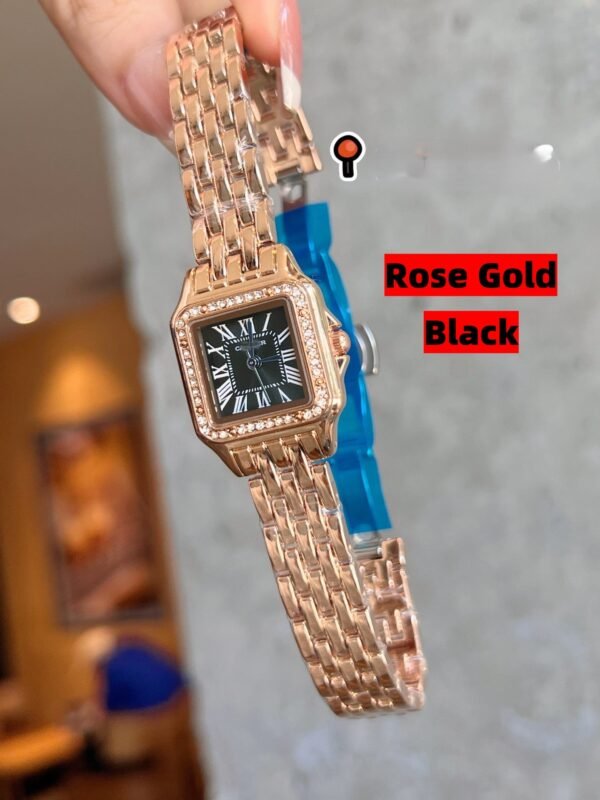 SANTOS DE WSSA0039959697 V6 FACTORY CARBON Rose Color by S-Watch 22MM - 图片 2
