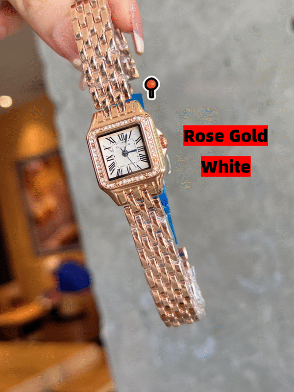 SANTOS DE WSSA0039959697 V6 FACTORY CARBON Rose Color by S-Watch 22MM - 图片 4