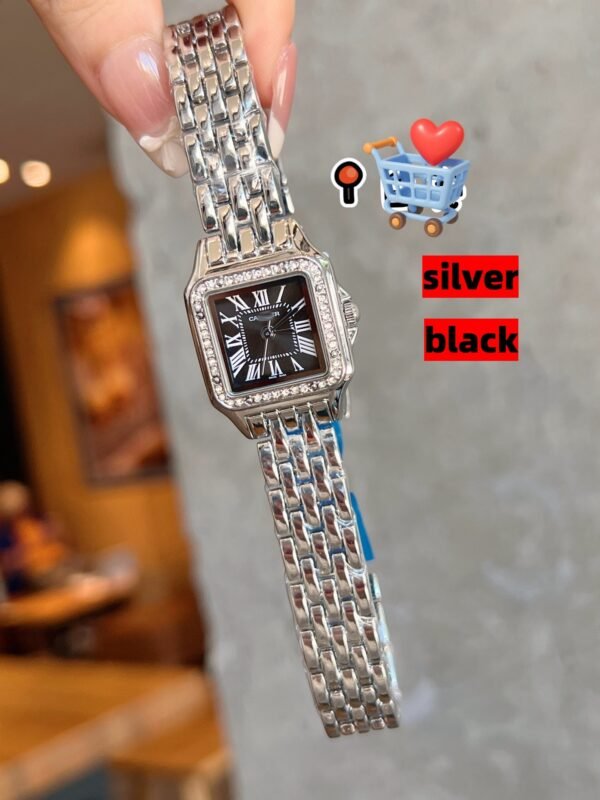 SANTOS DE WSSA0039959696 V6 FACTORY CARBON Silver by S-Watch 22MM - 图片 3