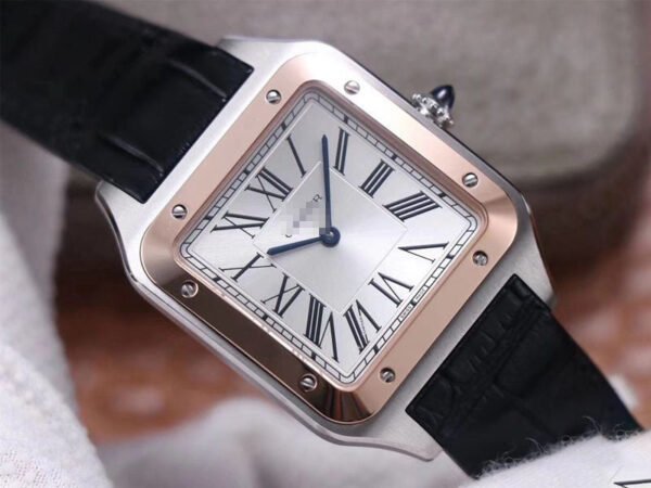 SANTOS DUMONT W2SA0017 F1 FACTORY SILVER DIAL - 图片 5